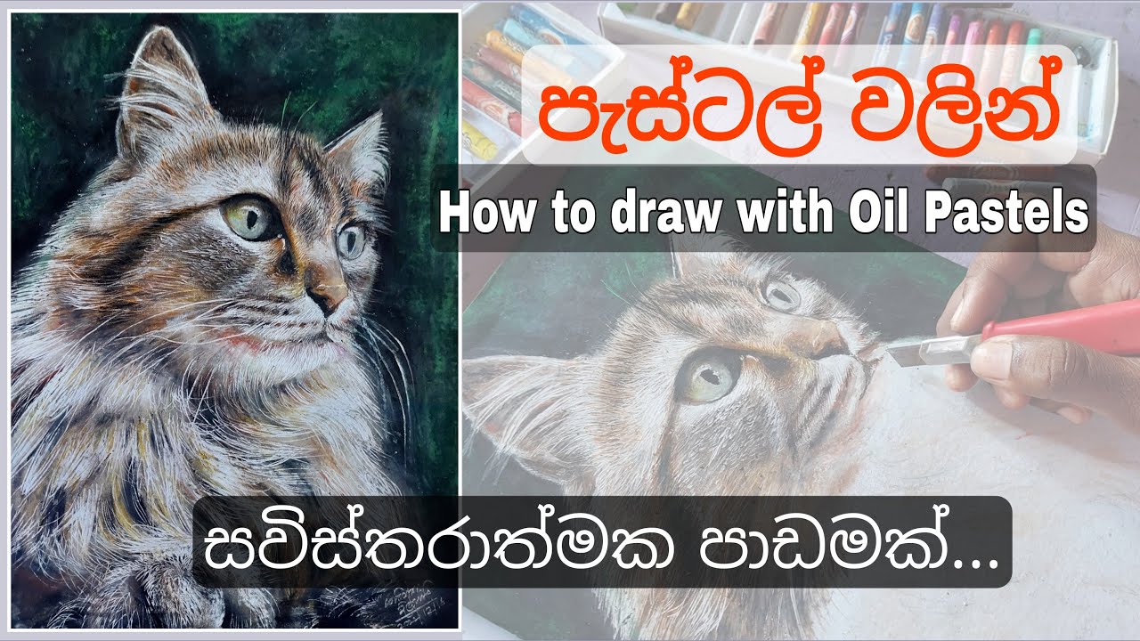 How to draw this cute cat in oil pastels| මුල සිට හරියට ඉගෙනගන්න