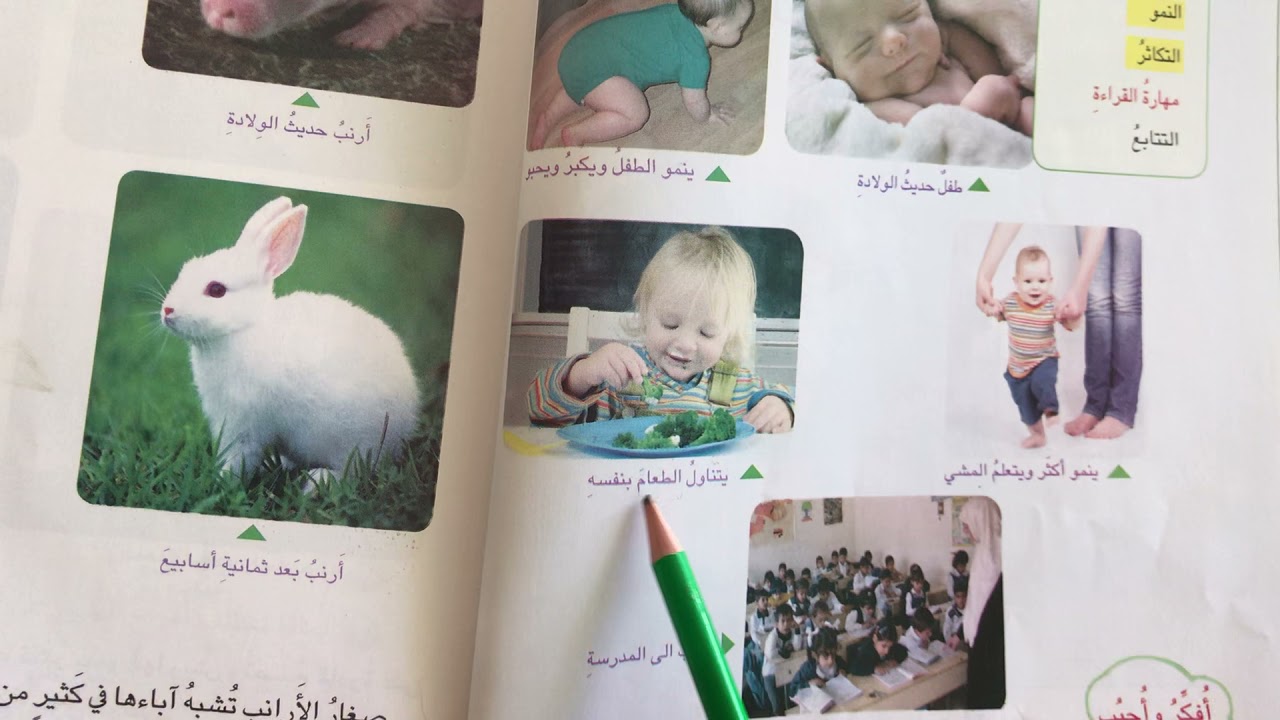 النمو والتكاثر في الانسان والحيوانات لتلاميذ مدرسة الغزالي الابتدائية المختلطة الصف الأول الابتدائي