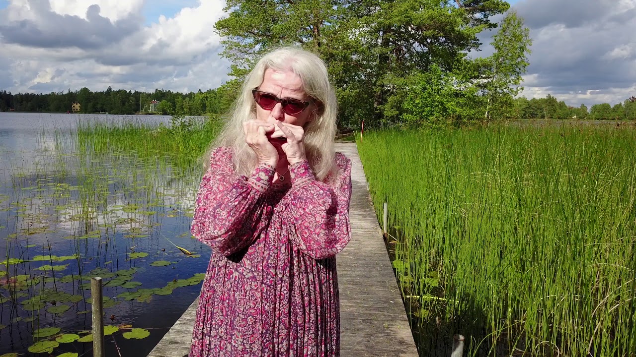 Nenne Gunilla Normansson - I'm Free
