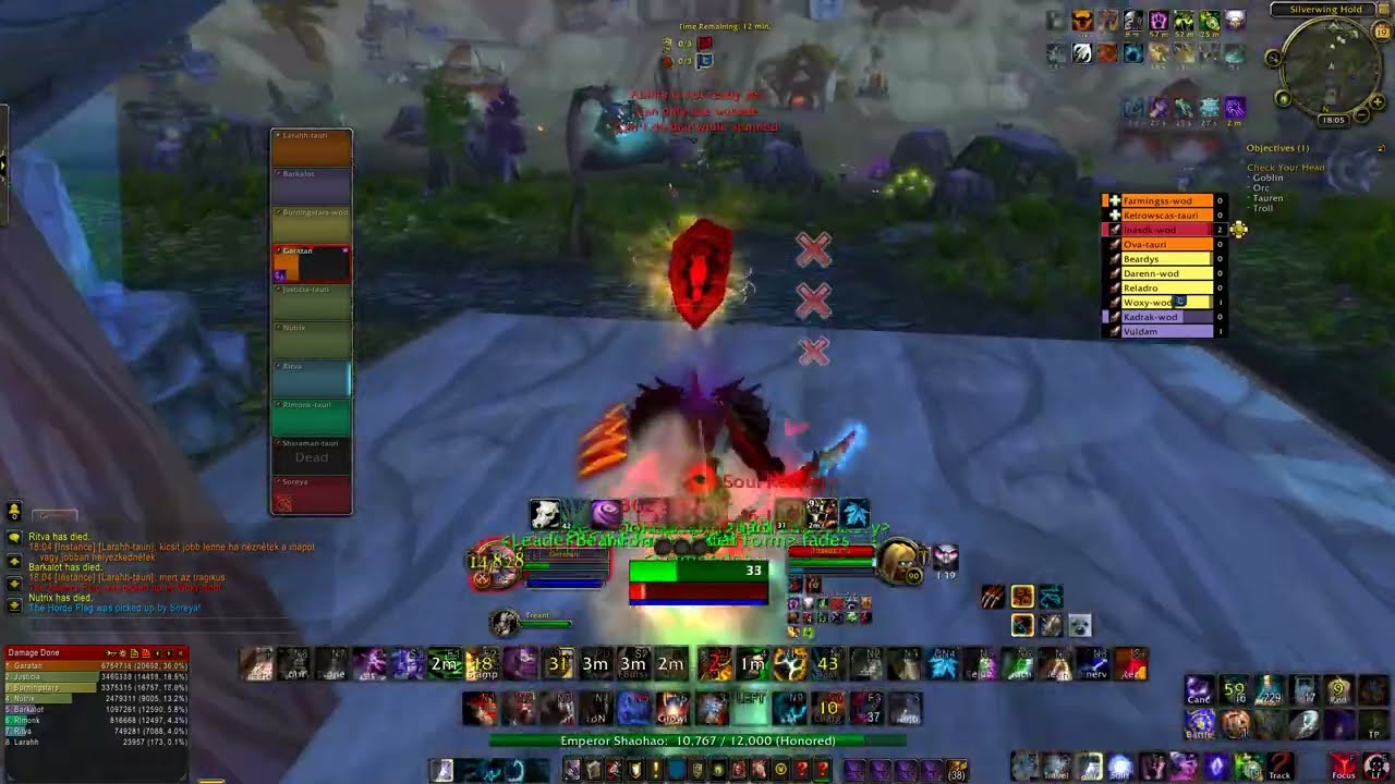 Warsong Gulch - Feral PvP MoP 5.4.8 (Evermoon - Tauri WoW)
