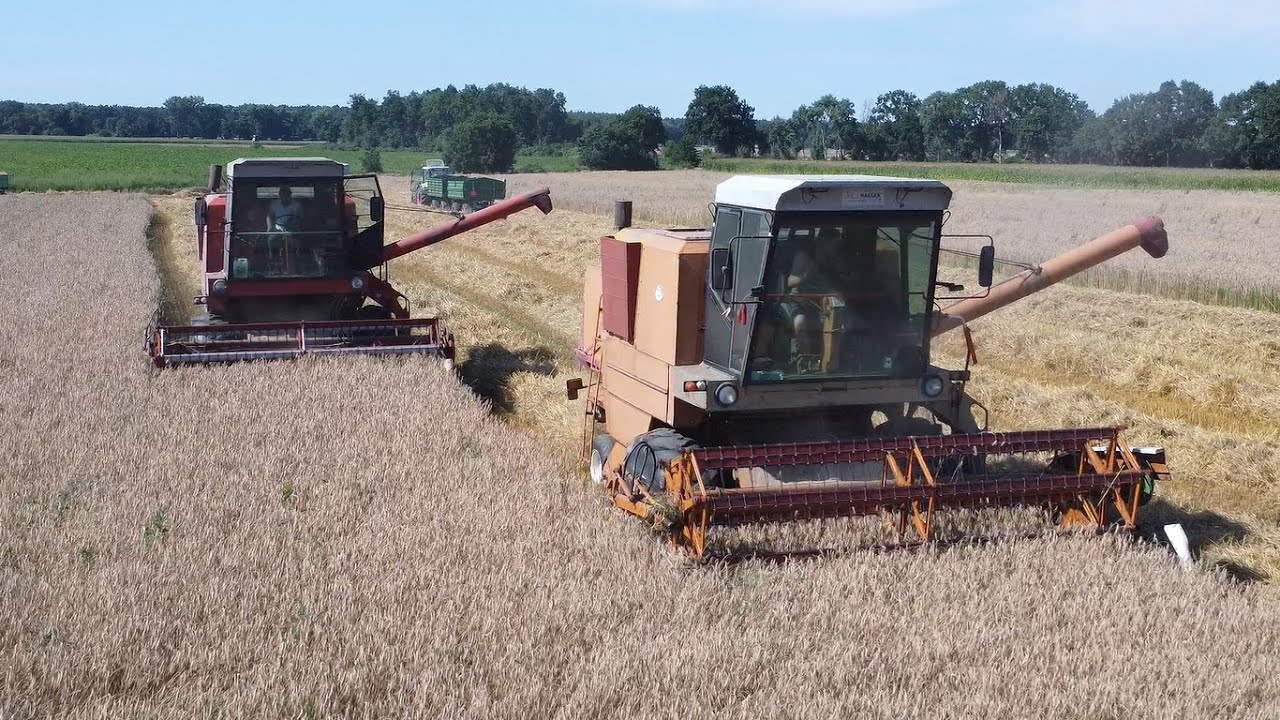 Ryk Bizonów🔥Żniwa 2025 Na Dwa Bizony w GrMatyba🔥UR Panek🌾New Holland Nie dał rady?!🔥SW-400💪
