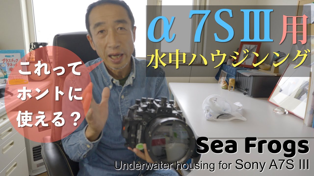 α7SⅢ海中撮影 by「Sea Frogs」水中ハウジング