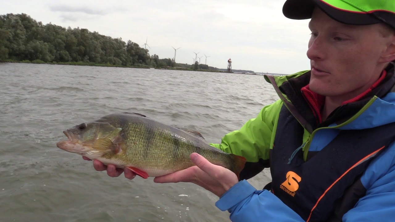 Predatortour 2017 mit Team FISCH & FANG