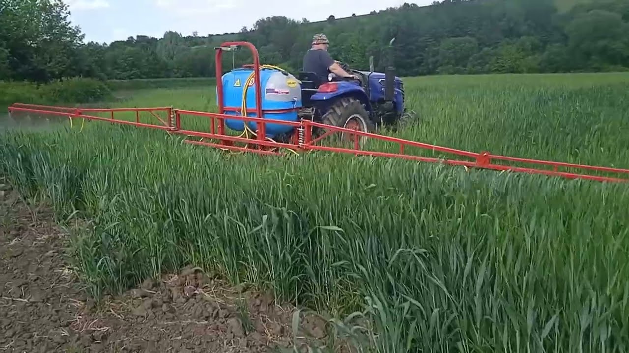 Підгодовуємо озиму пшеницю....