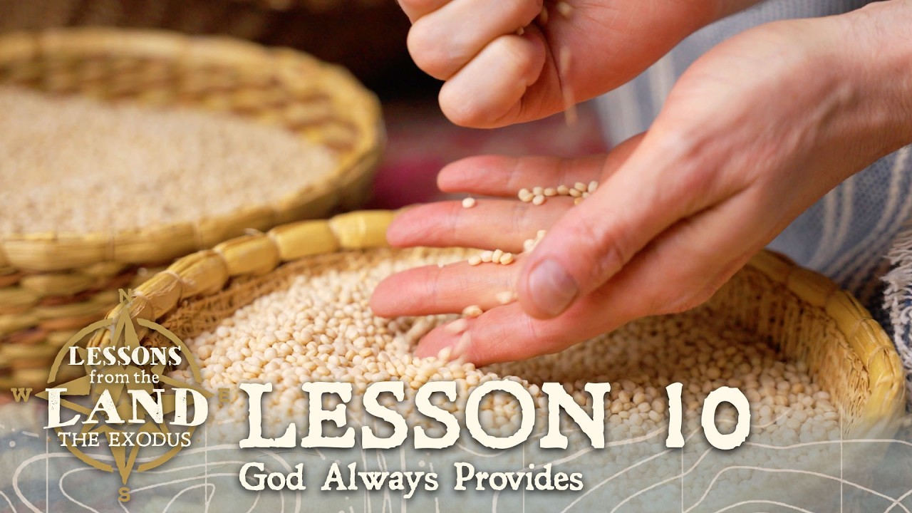 Why Did God Provide Manna in the Wilderness? Lessons from the Land the Exodus