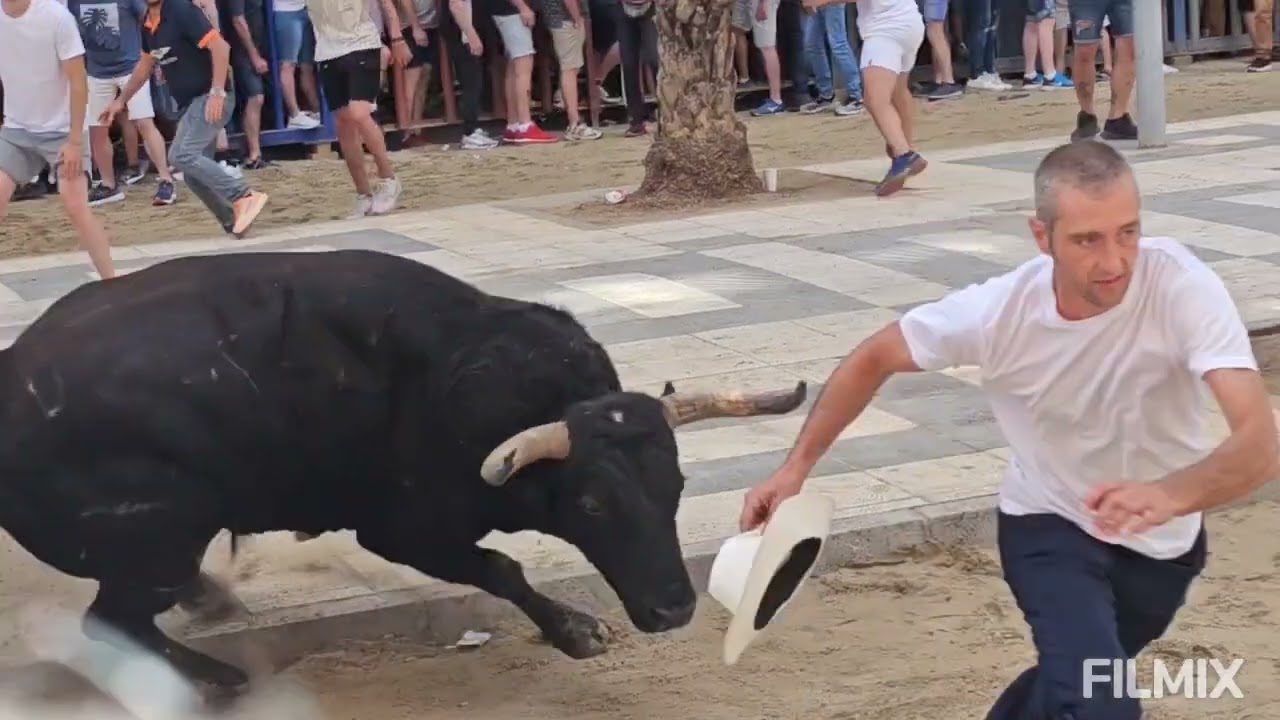 GRAO DE CASTELLÓN 23-6-2024 ENCIERRO DE TOROS CERRILES DE EL PILAR Y TORO DE EL PILAR