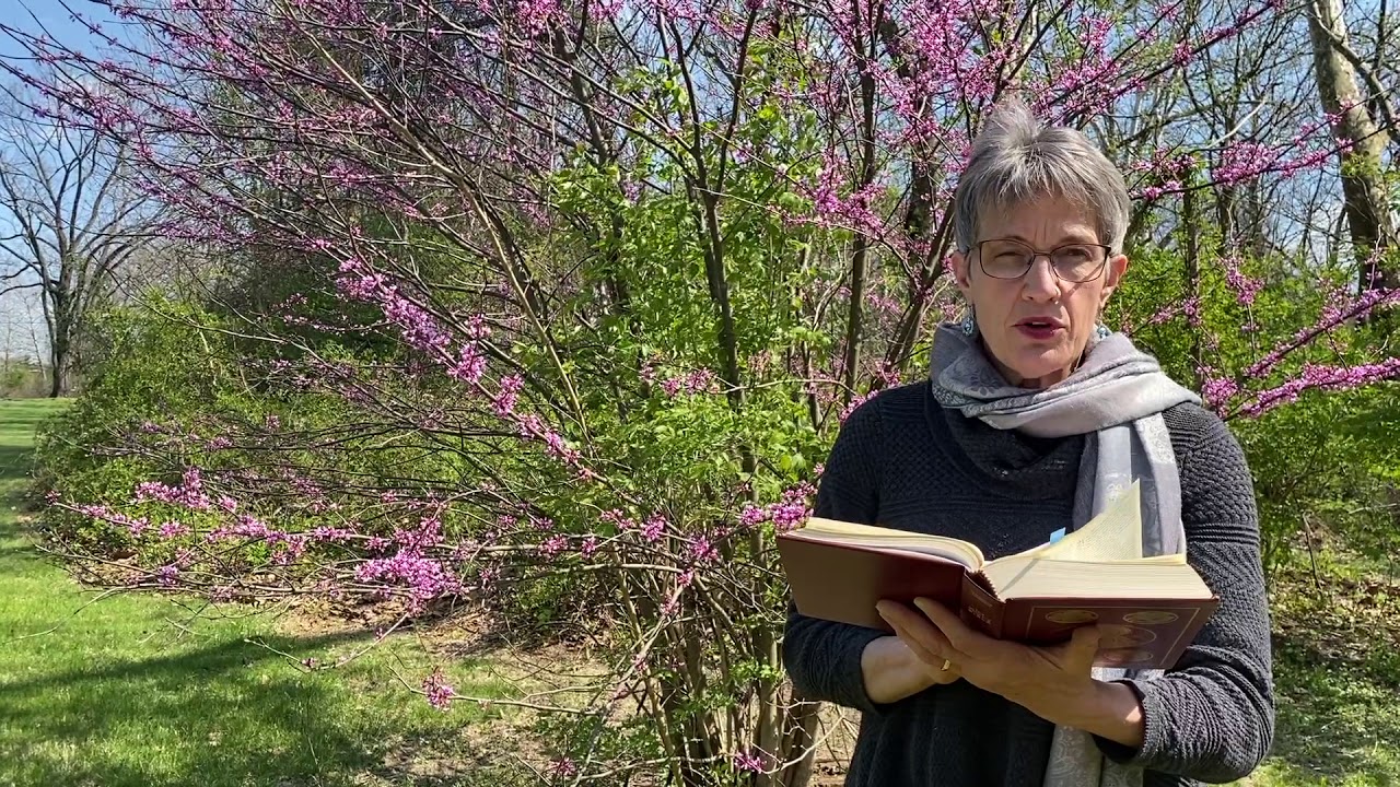 What happened on Easter Sunday?