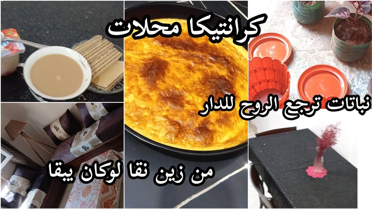 يومي مع الدار و تخمال 🤍من زين نقا لوكان يبقا🌸 نباتات ترجع الروح للدار 🌿 وصفة كرنتيكا  
