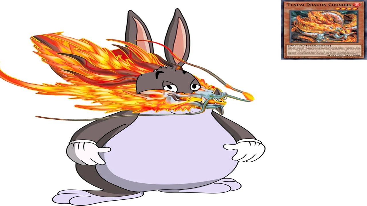 Dumb Master Duel Memes I found on my reddit
