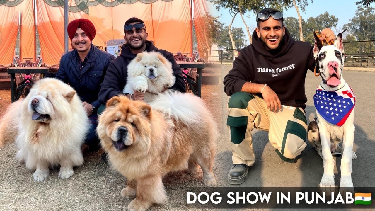 Biggest Dog Show in Punjab,India (Patiala Dog Show)😱