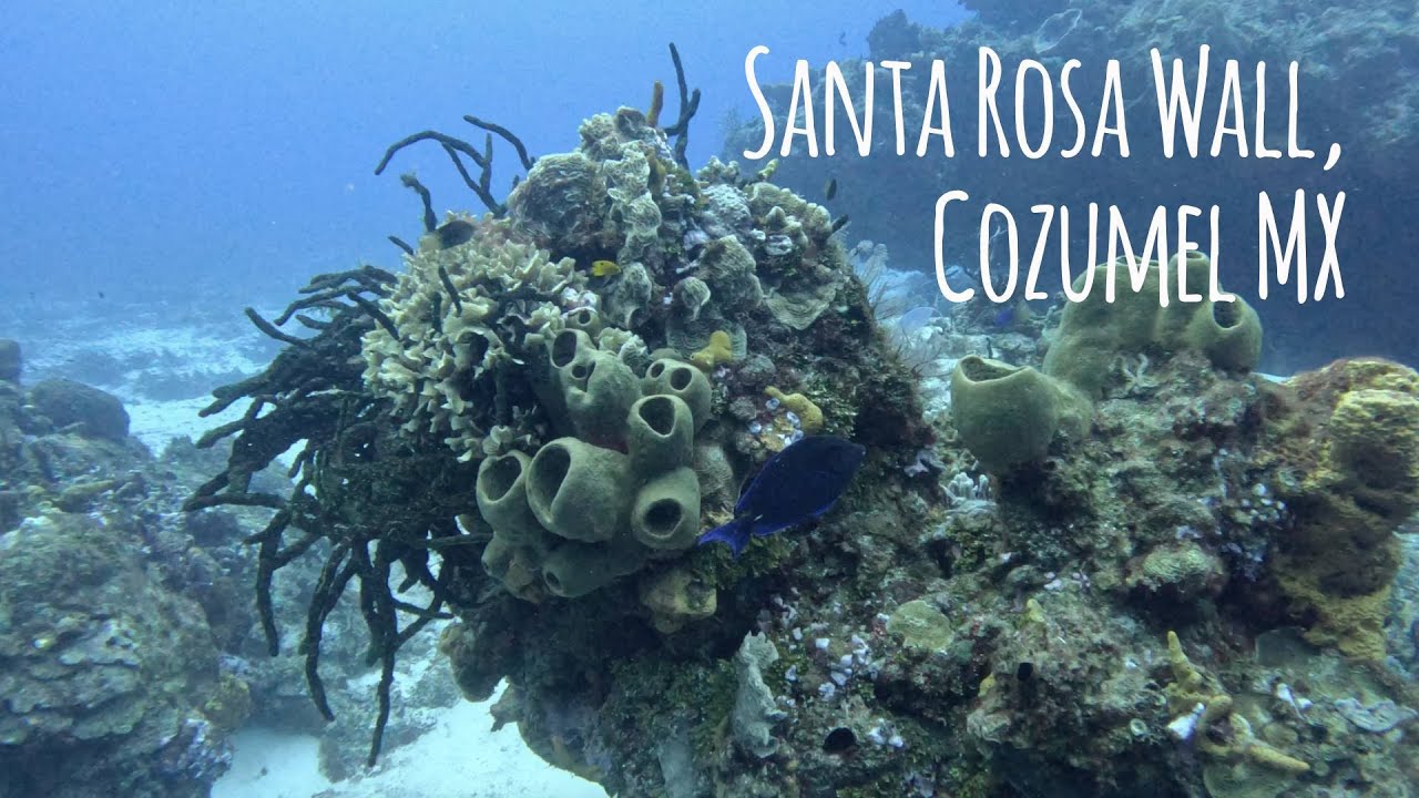 STUNNING Santa Rosa Wall in Cozumel, Mexico - 4K 🎵 Chambord