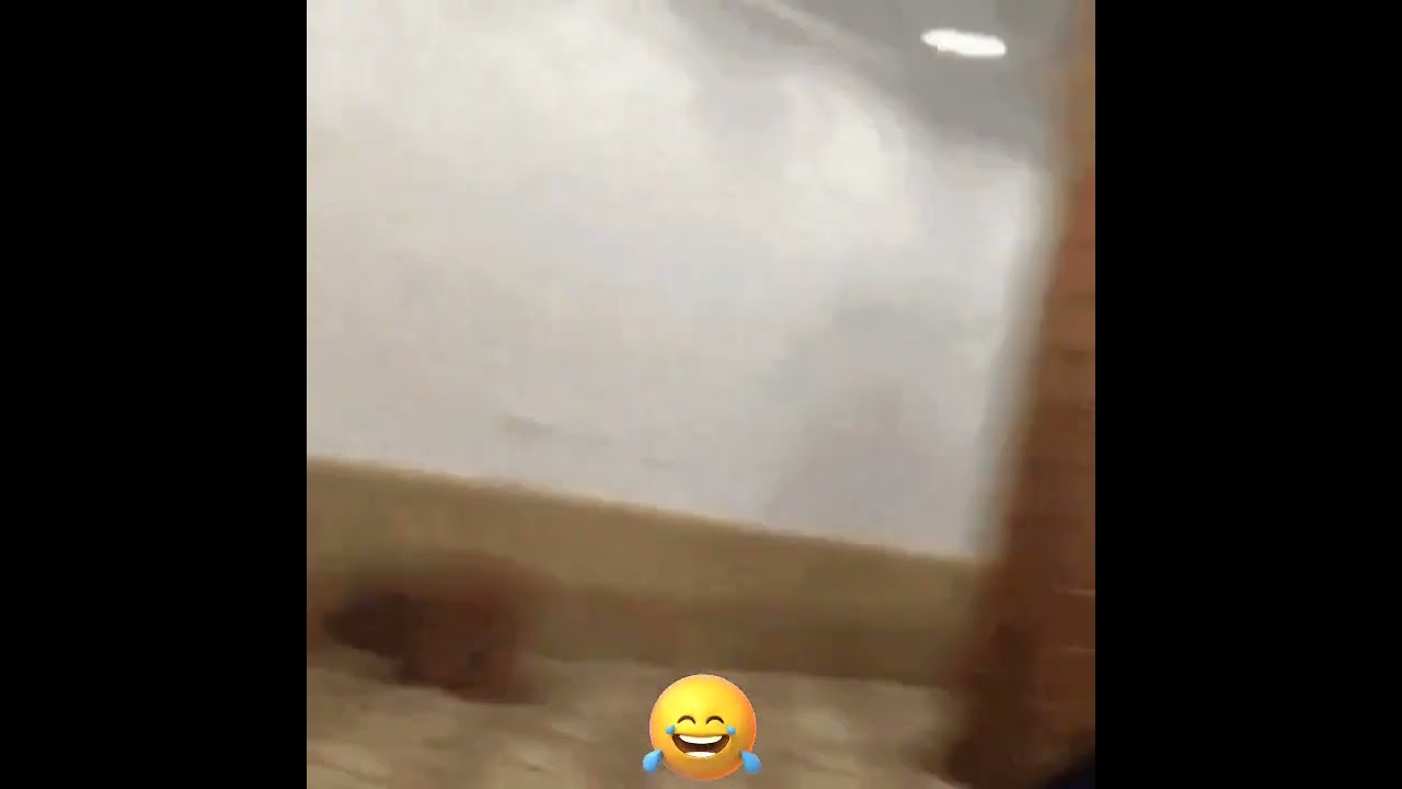 😂 Prank Orang Arab Paling Ngakak #Shorts#Feed/Video Viral
