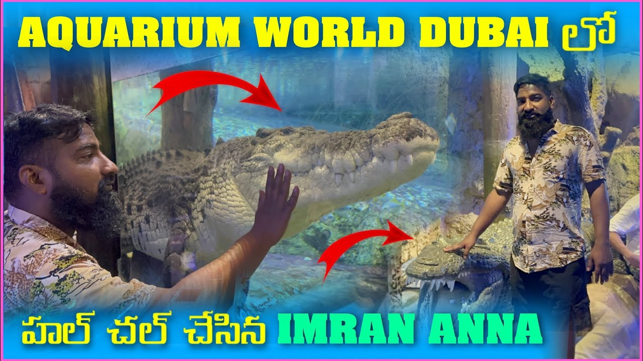 Aquarium World Dubai లో హల్ చల్ చేసిన imran Anna | Pareshan Family