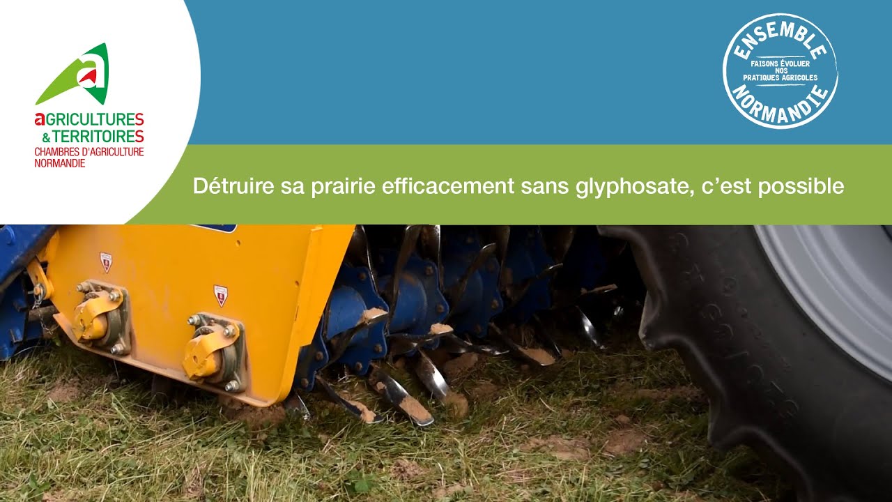 Détruire sa prairie efficacement sans glyphosate, c'est possible