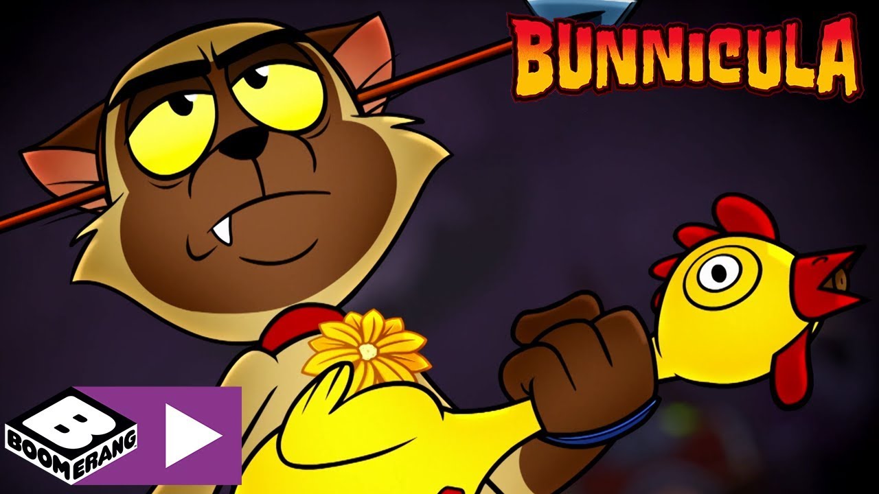 La revanche de Chester | Bunnicula | Boomerang