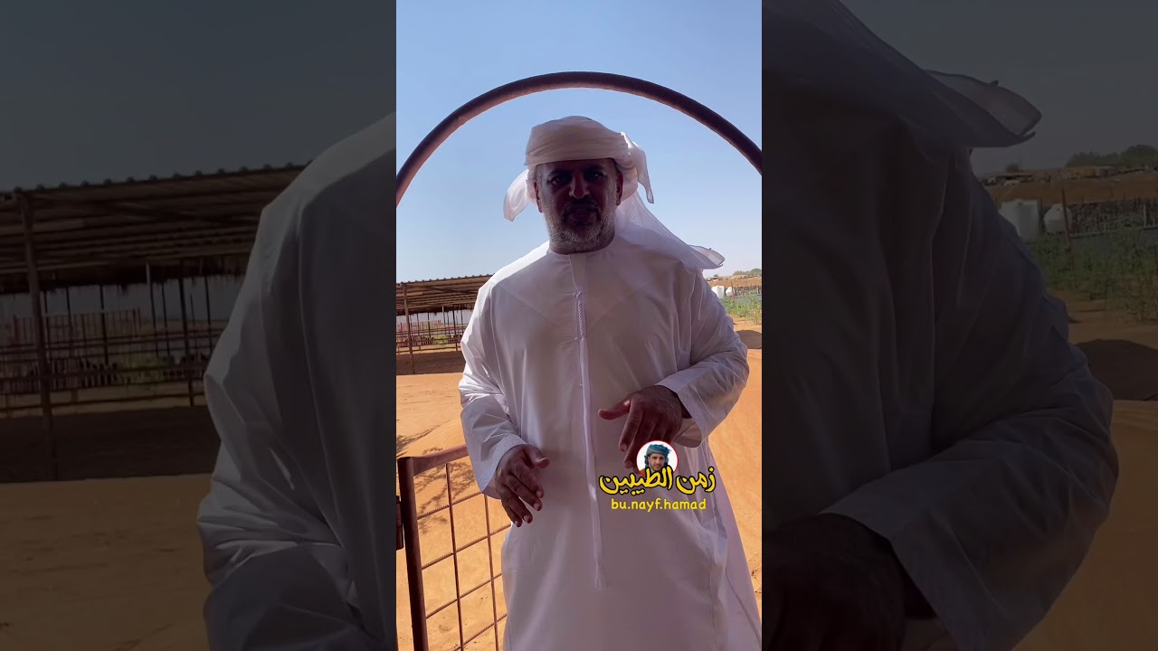 خبير الحلال وخصه لي اهل مربين الحلال من الهوش والبوش مع حمد عبدالله الغداني الغفلي