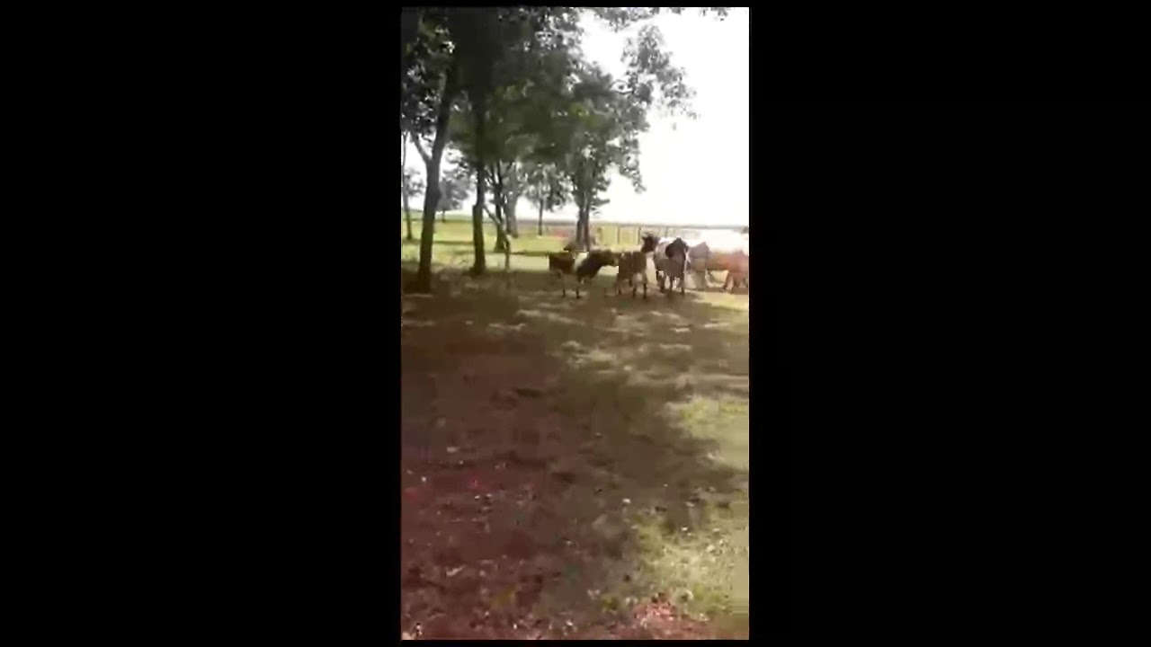 Дело не в размере