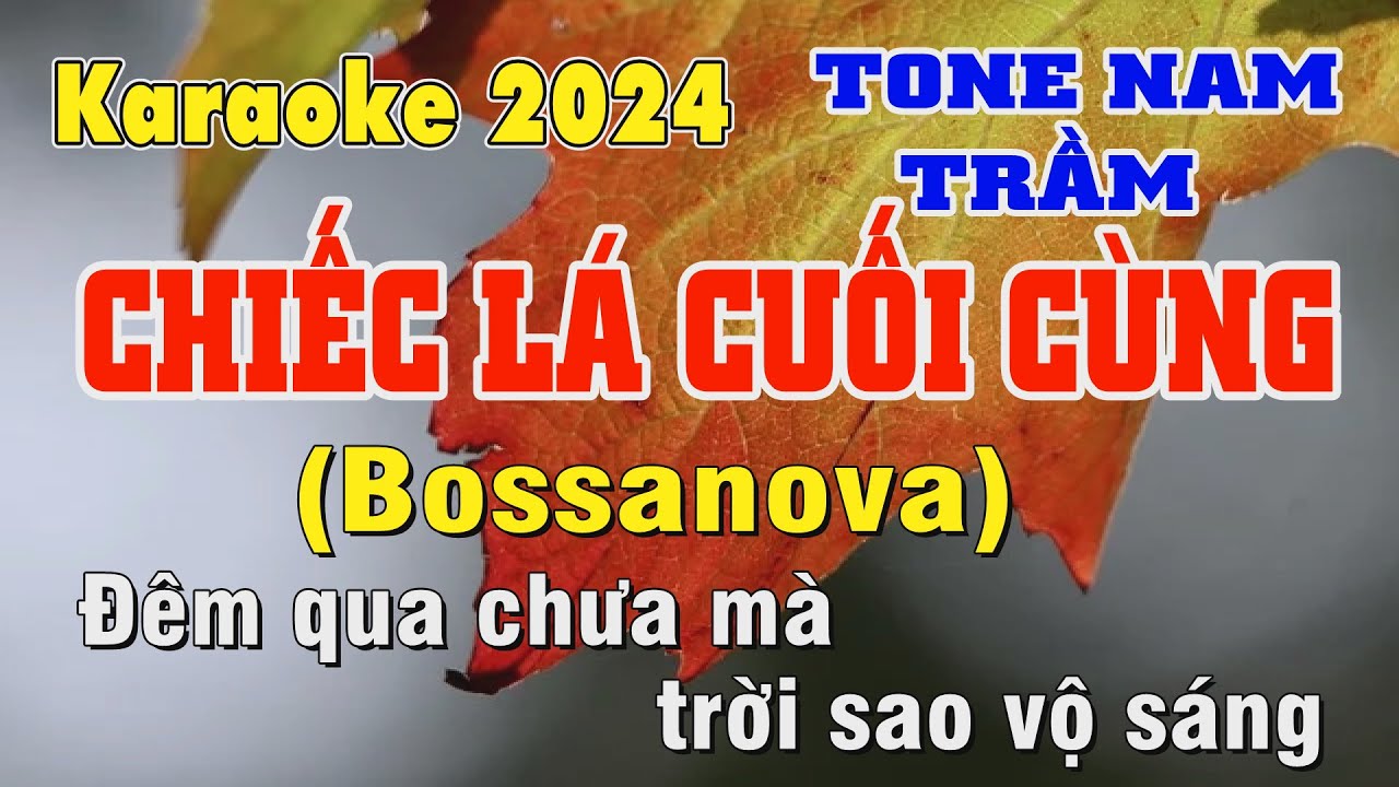 Chiếc Lá Cuối Cùng Karaoke Tone Nam Trầm | Trần Lâm