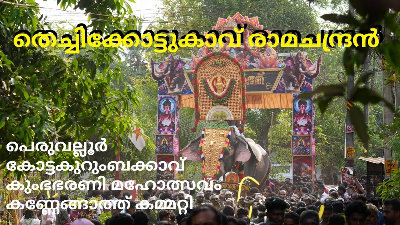 തെച്ചിക്കോട്ടുകാവ് രാമചന്ദ്രൻ കുംഭഭരണി മഹോത്സവം #thechikkottukavuramachandran #thrissur #kerala