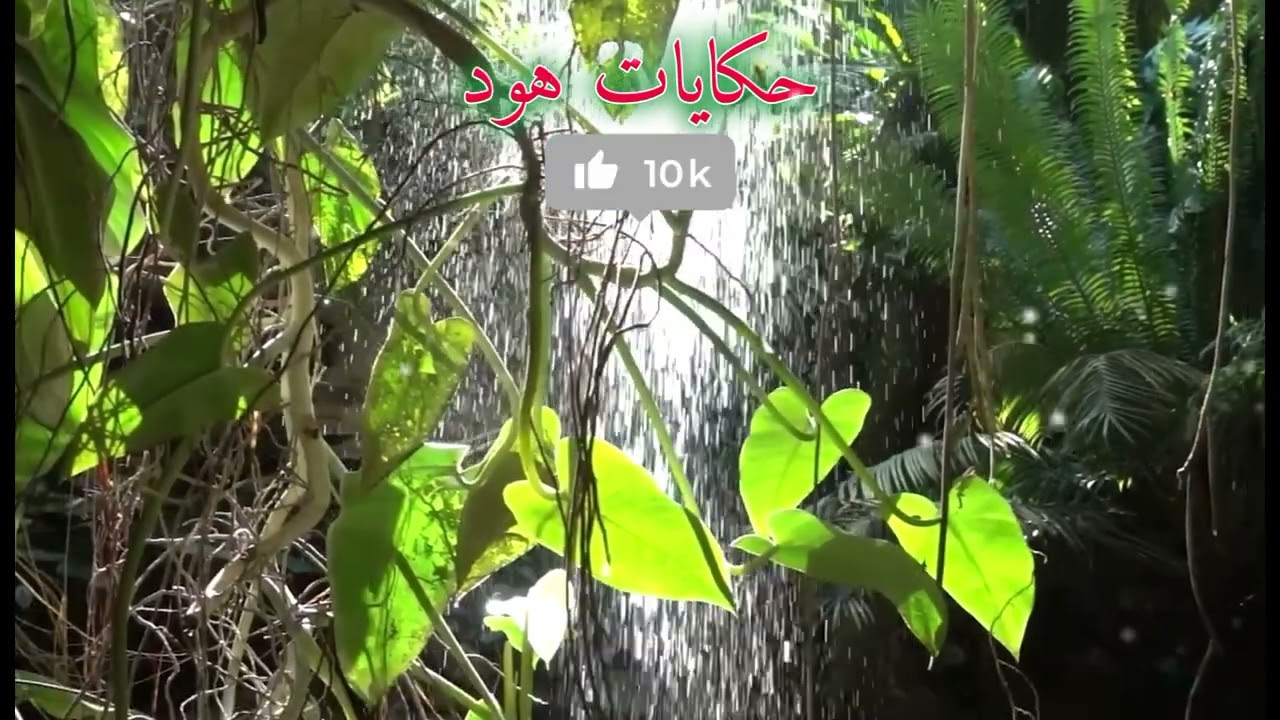 شوفو هاد الرجال شنو لقاو 😱😢