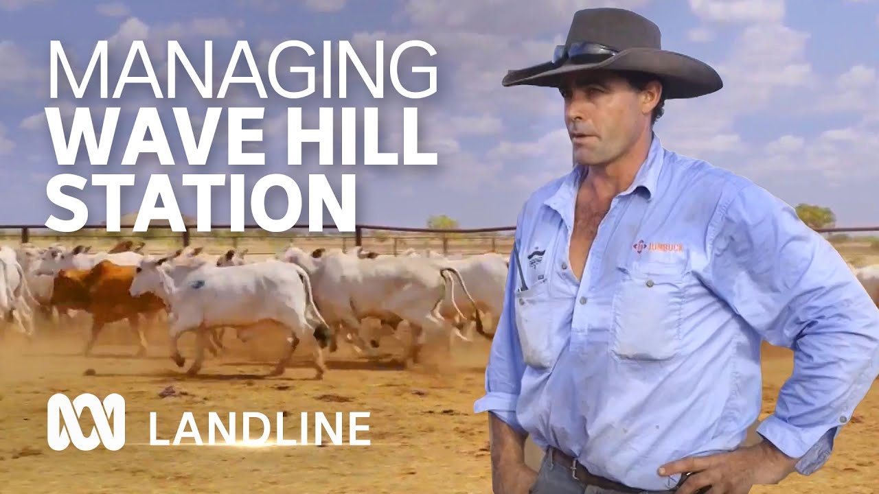 New wave of young talent, strong leadership shapes future of Wave Hill cattle station | ABC Landline