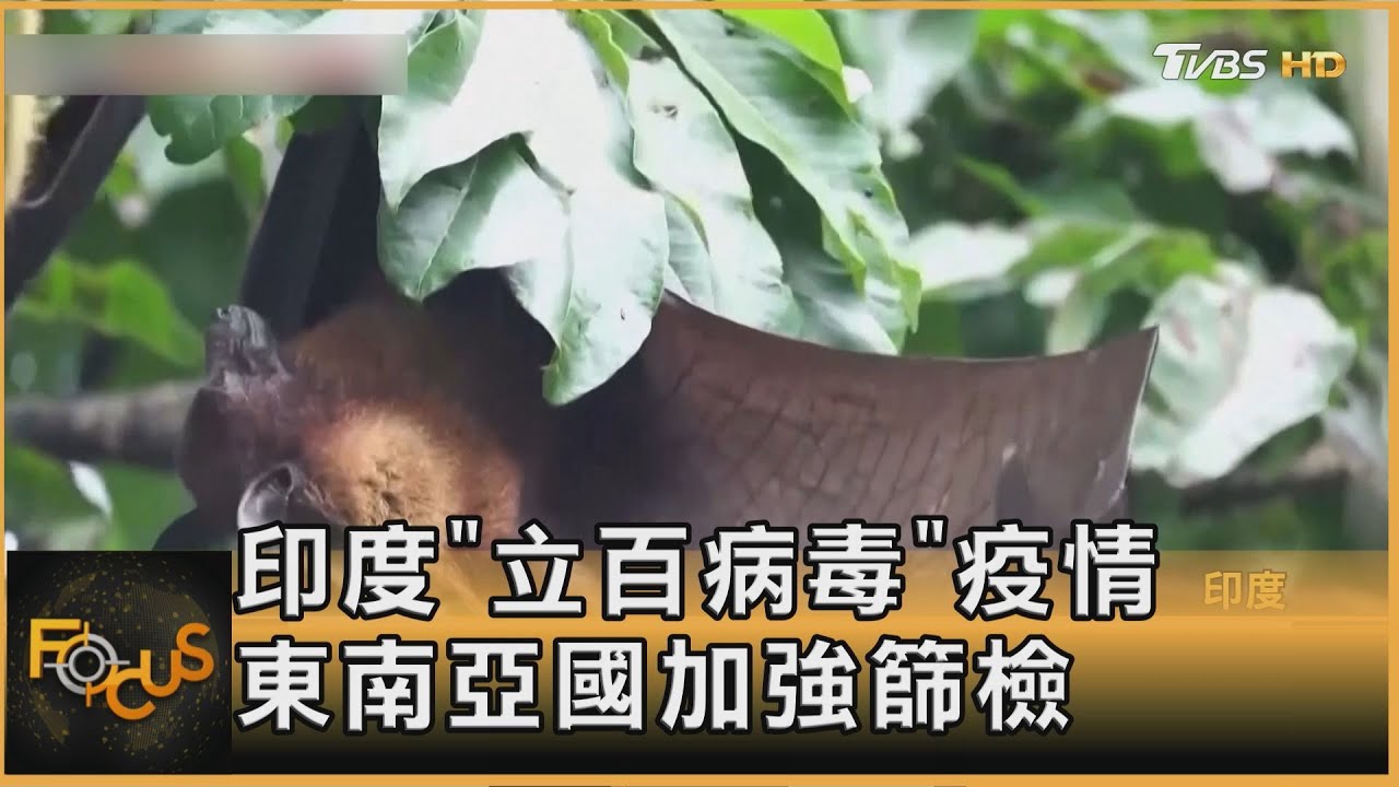 印度「立百病毒」疫情 東南亞國加強篩檢｜方念華｜FOCUS全球新聞20260129 @tvbsfocus