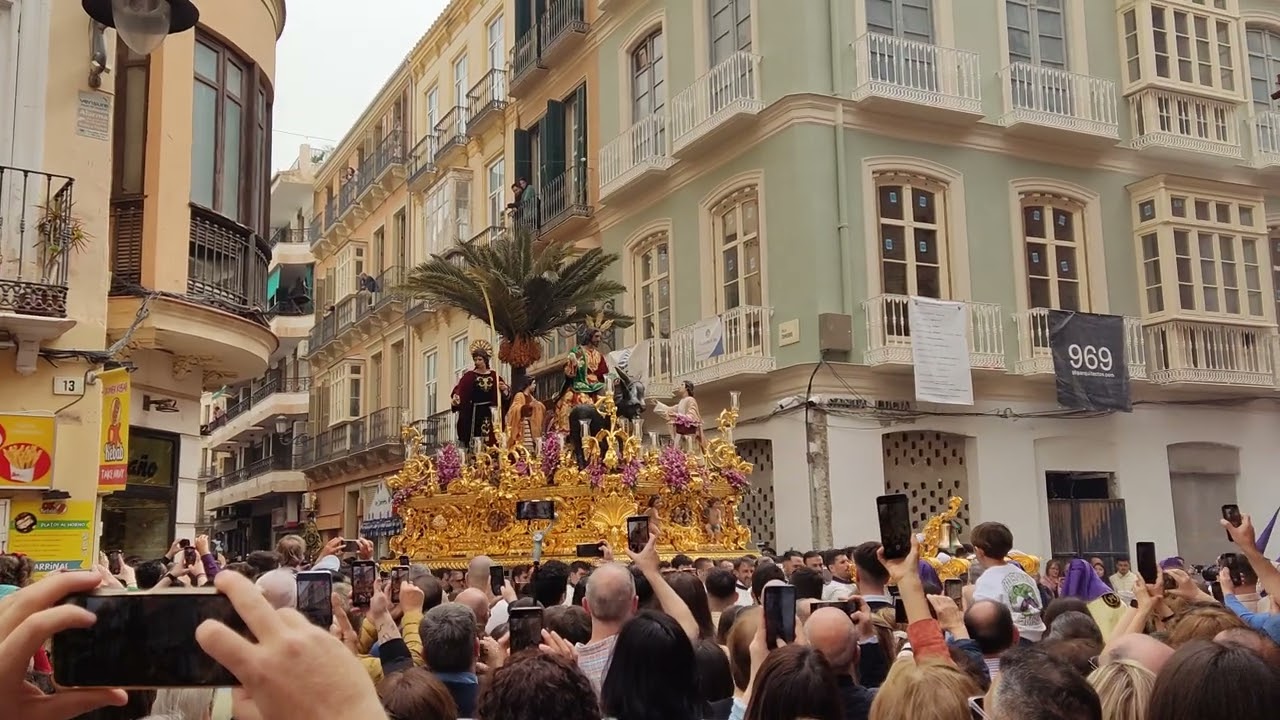 Málaga 2024 || Domingo de Ramos || Nuestro Padre Jesús a su Entrada en Jerusalén (Pollinica)