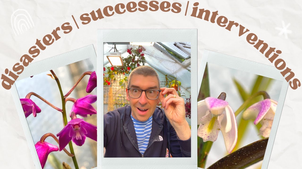 Disasters | Successes | Interventions | Real-World Plant Parenting!