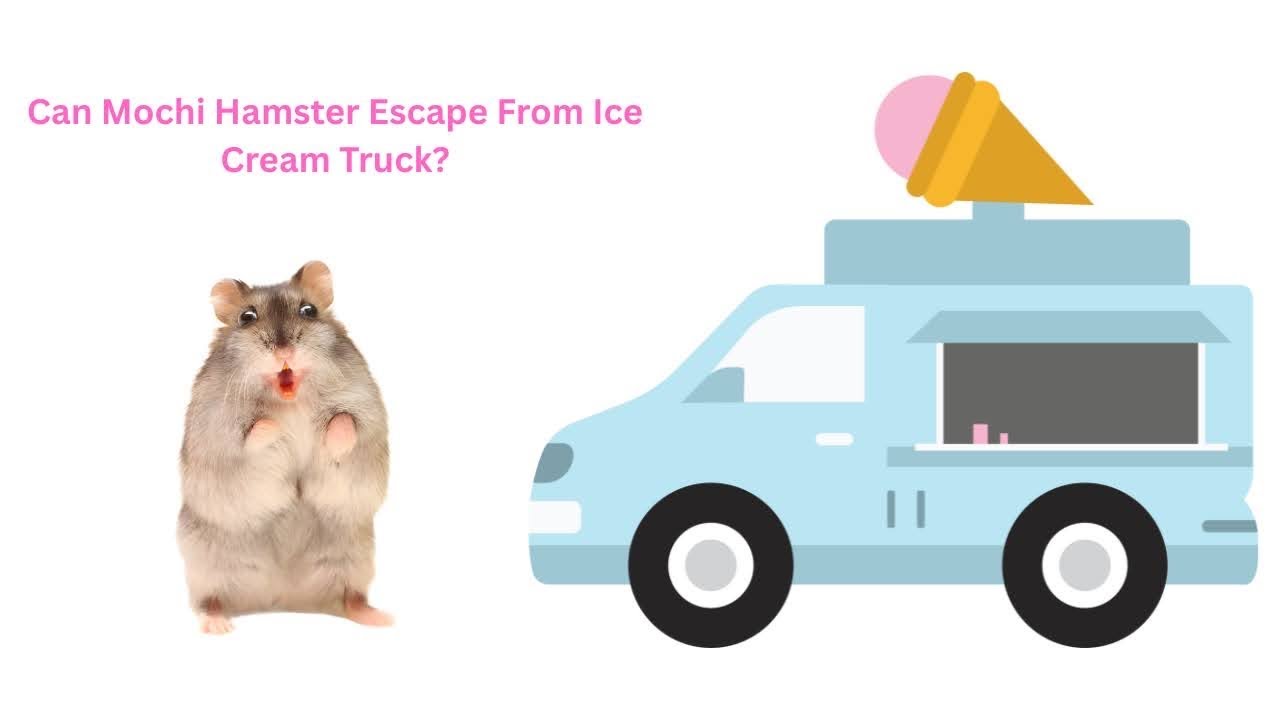 Can Mochi Hamster Escape The Ice Cream Truck? Vlog4. #hamster #pets #entertainment 