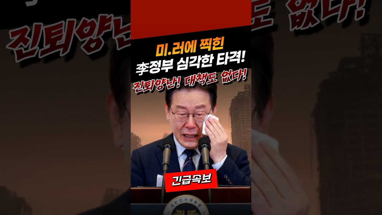 진퇴양난 대책도 없다!