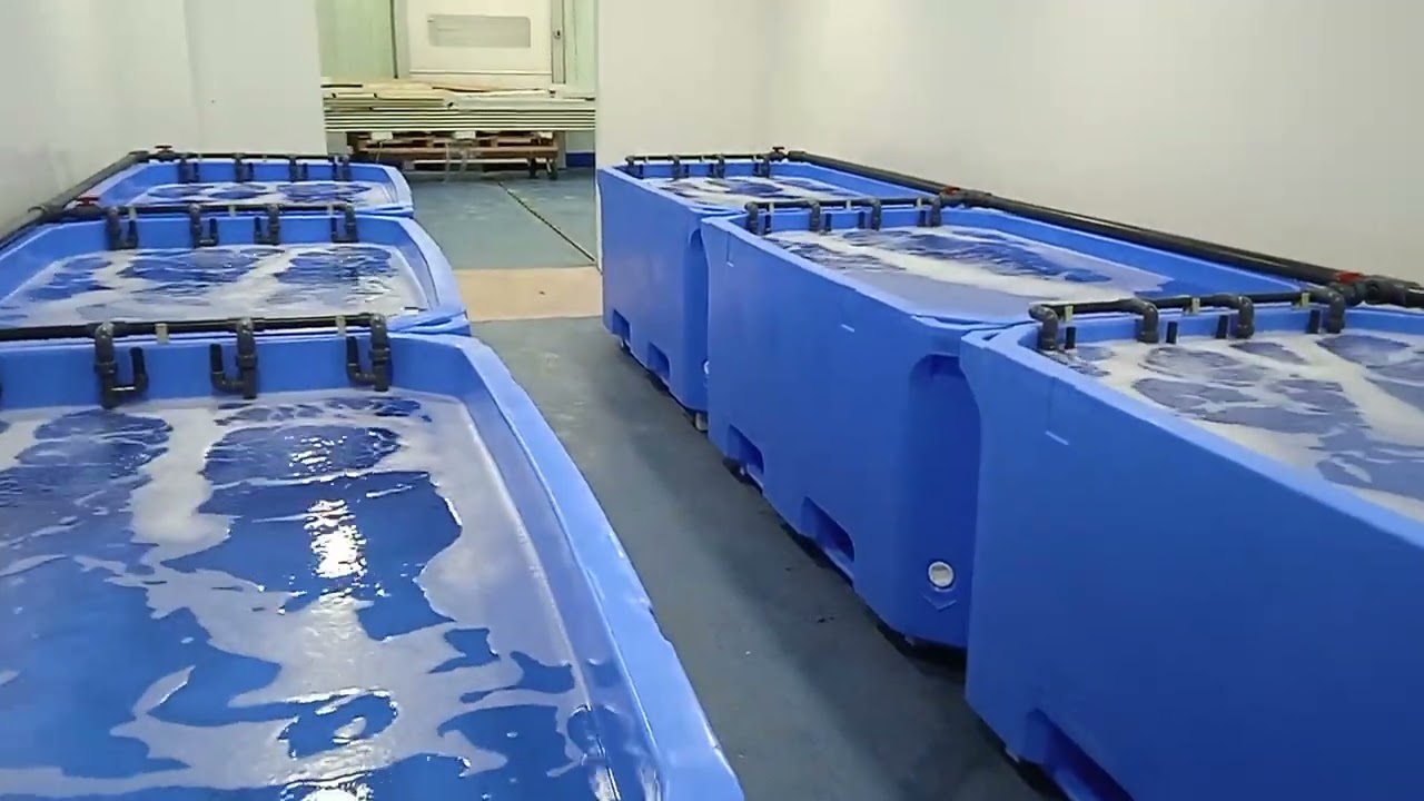 Cet&aacute;rea Bivalvos 10.000 litros | LA PROA - VIVEROS PARA MARISCO Y DEPURADORAS DE MOLUSCOS Y BIVALVOS