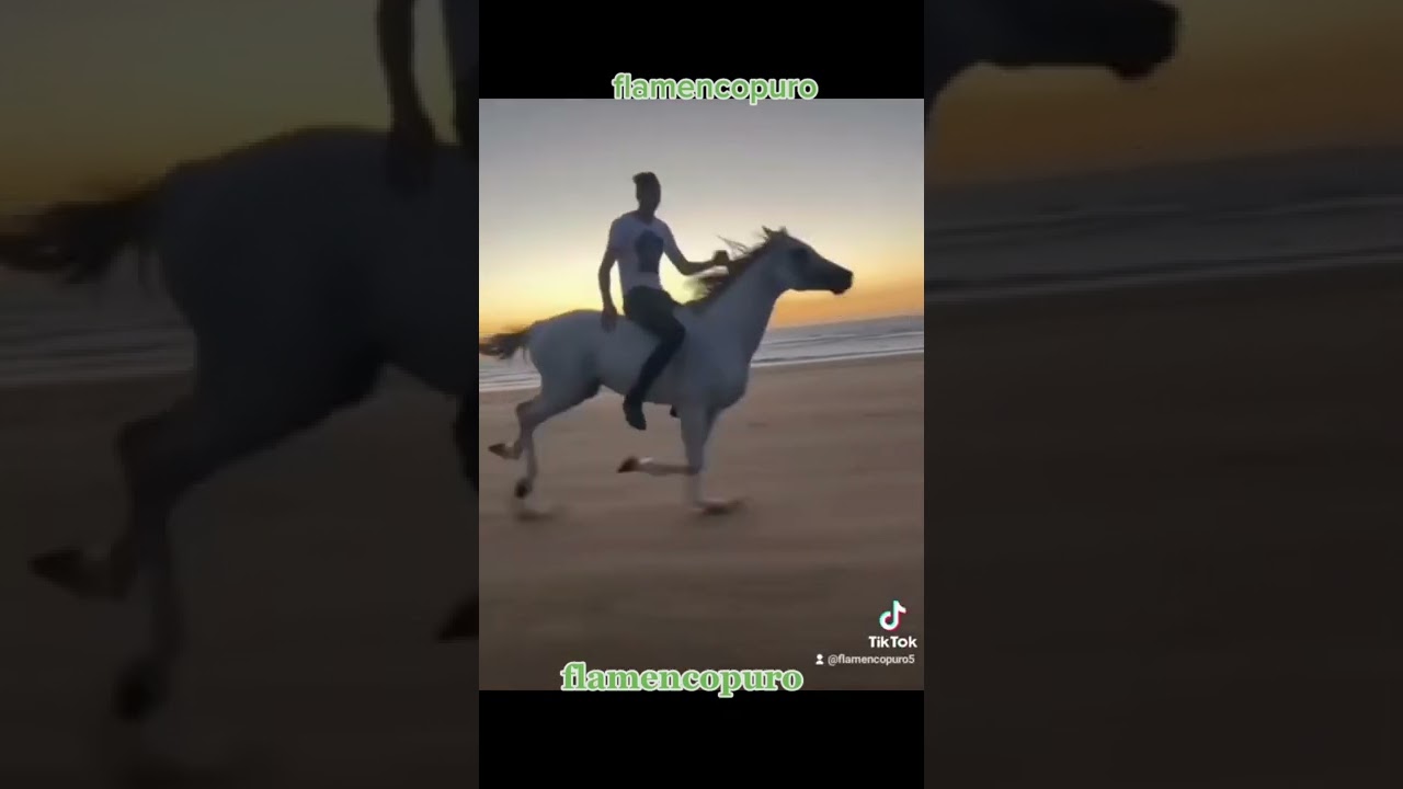 flamencopuro