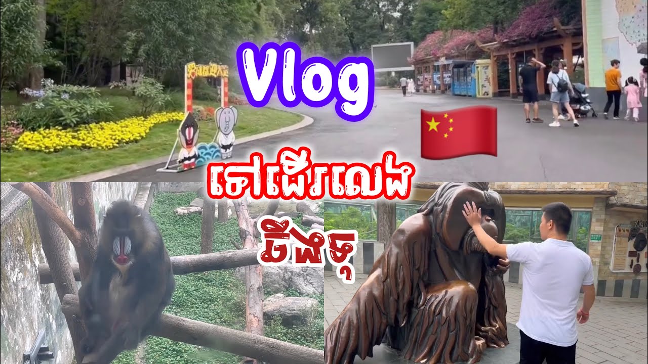 Vlogទៅលេងសួនសត្វនៅឆឹងទុ🇨🇳|kunbrsajeen