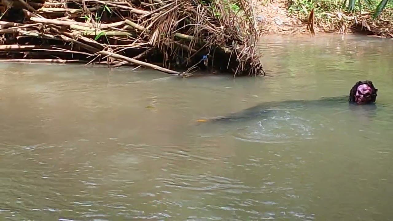 petaulang mau angkat jaring ada hantu air lagi makan ikan