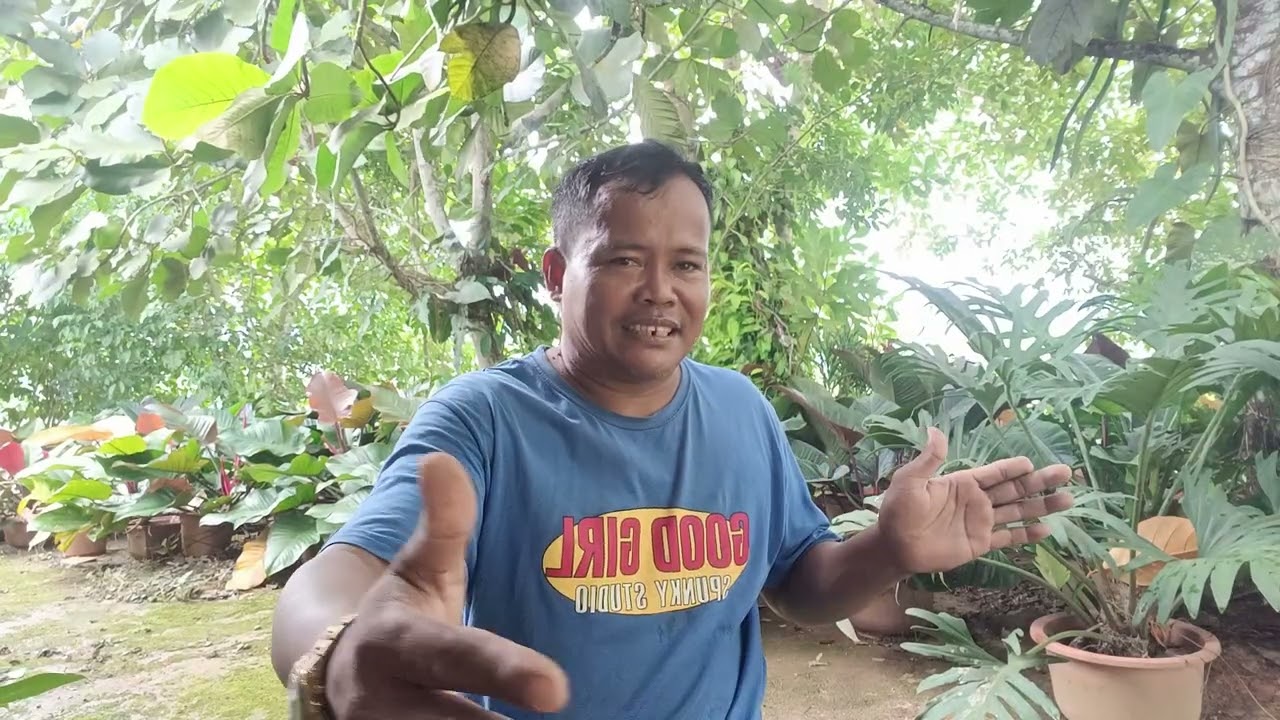 Alamin natin 🥰 ang mga pangangailangan ng bill pepper 🫑 or sili 🌶️ bago mag umpisang mag tatanim 🌱🌱🌱