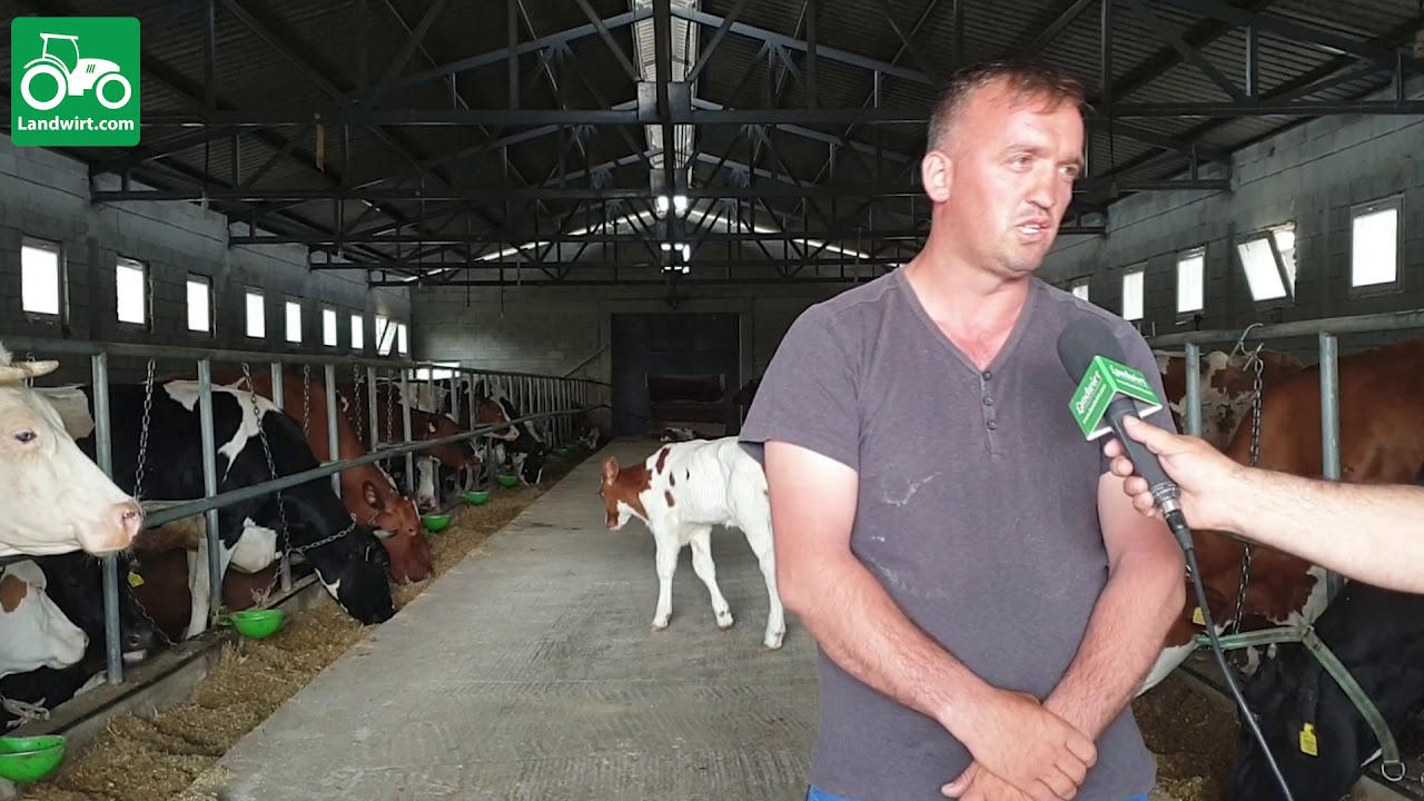 Ferma për prodhimn e qumështit në fshatin Ratkoc të komuna së Rahovecit