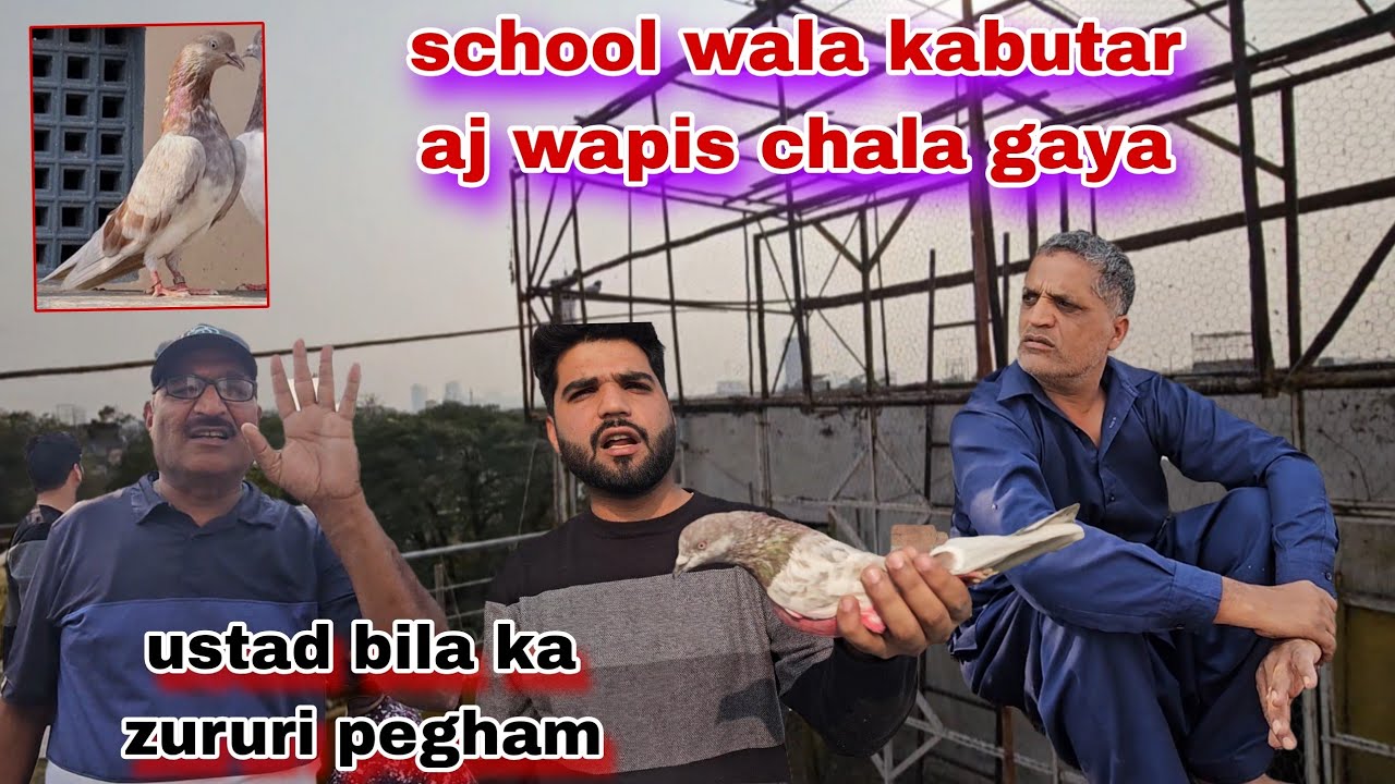 School wala kabutar aj chala gaya🤬ustad bila ka pegham ab isko school pr reny do
