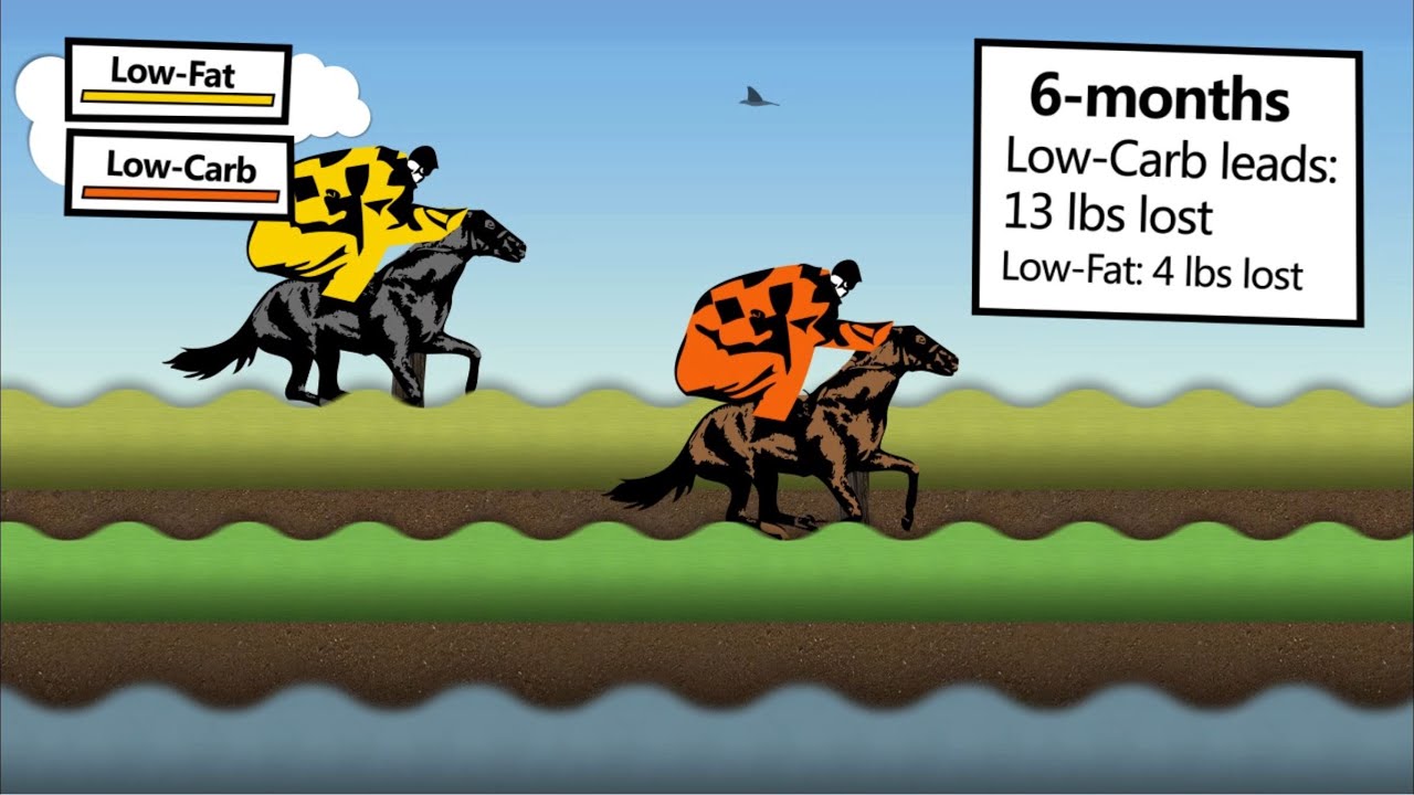 Low Carb vs. Low Fat Diet Study - MDiTV June 2010