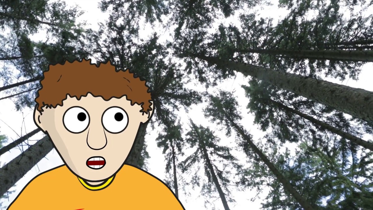 JAK TO CHODÍ V LESE - 1/10 - Odkud se bere dřevo?