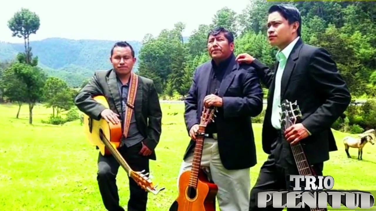 TRIO PLENITUD mira el cordero