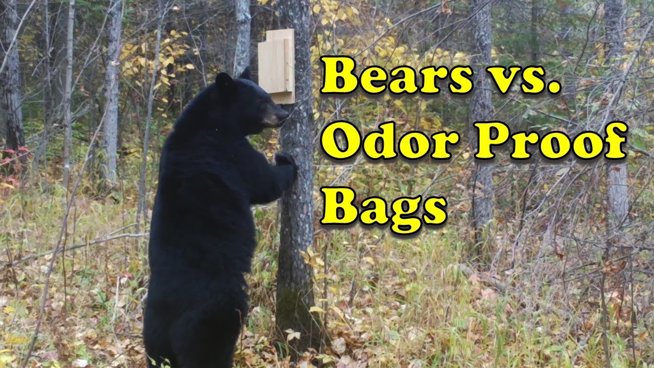Bears vs. Odor Proof Bags