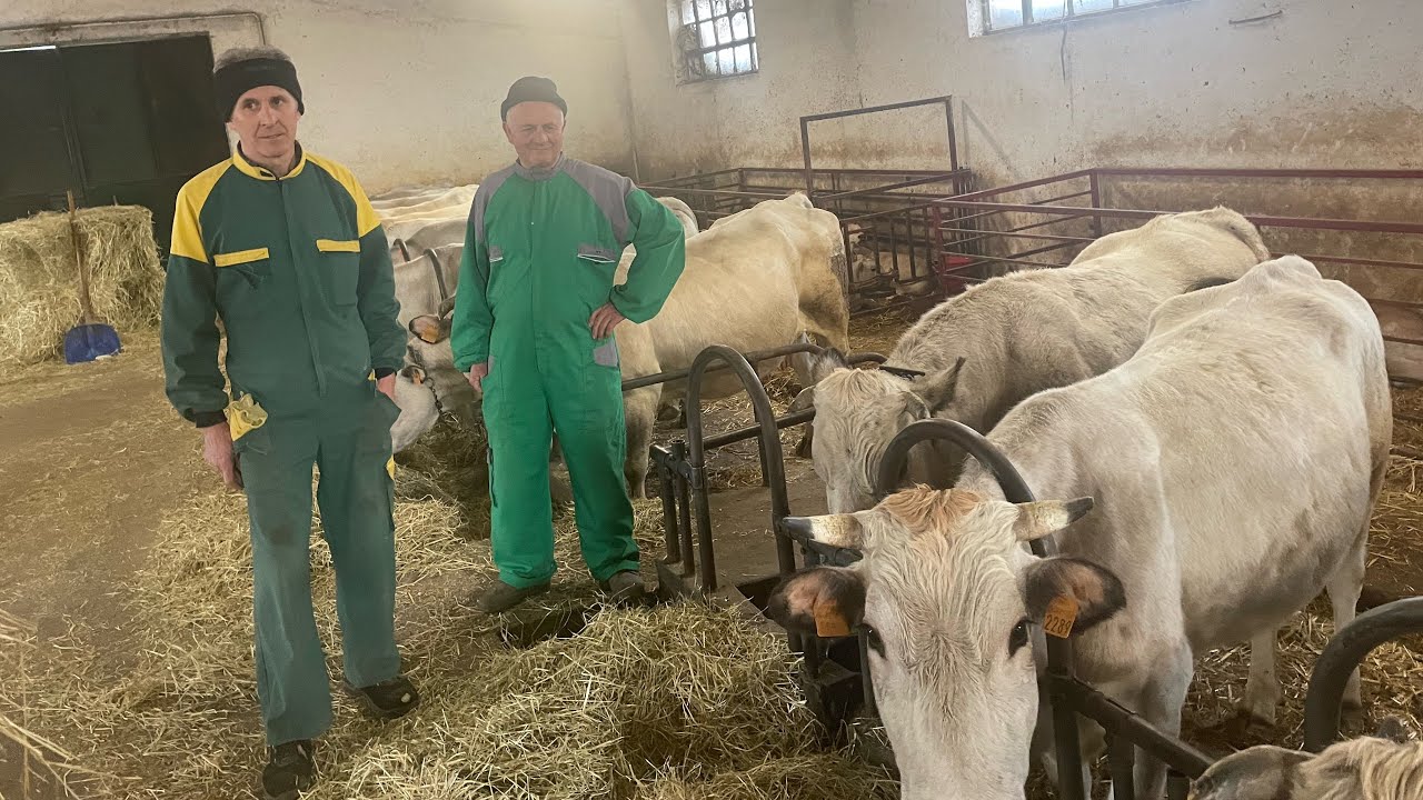 Az.agricola F.lli Bruno & Elio Bedino pensionati 58 e 64 anni la passione nel cuore Cuneo