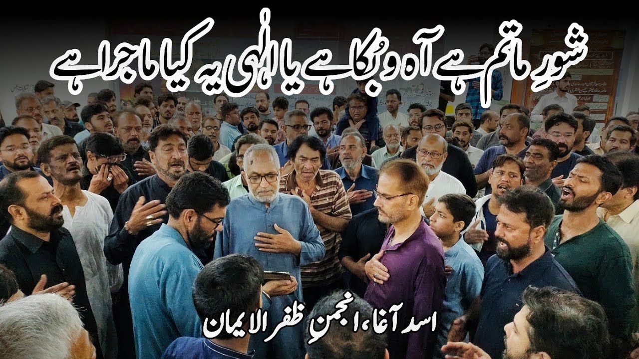 Shor e Matam Hai Aah o Buka Hai || Asad Agha Anjuman e Zafar ul Iman || Noha 28 Rajab || Ancholi IB