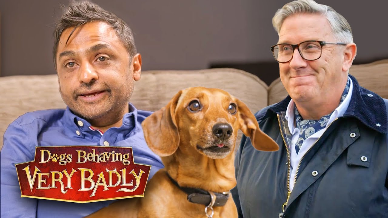 My Dog’s Barking Has Isolated Me From the World
