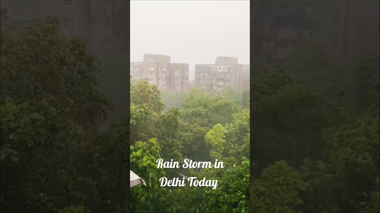 Rain Storm in Delhi today #rain #delhi #monsoon #weather #nature #weatherupdate #rainstorm