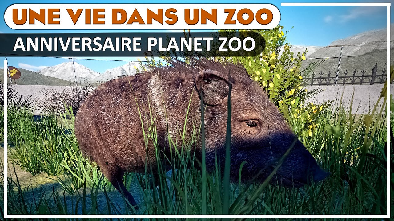 Enclos Parfait du Pécari à collier | EPISODE 55 | PLANET ZOO | Franchise