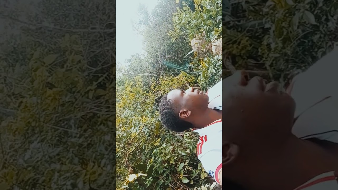 jay mwita, s content at the hill 0715705642