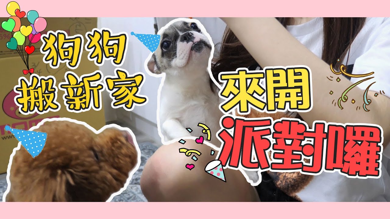 一豬小公主｜狗狗搬新家 來開派對囉！