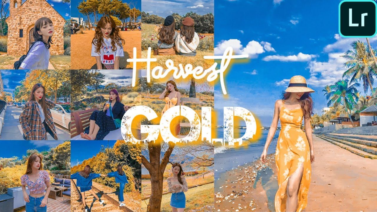 Lightroom Mobile Presets Free Dng + Xmp | Pastel Yellow Tone Tutorial 2019 | Harvest Gold Preset