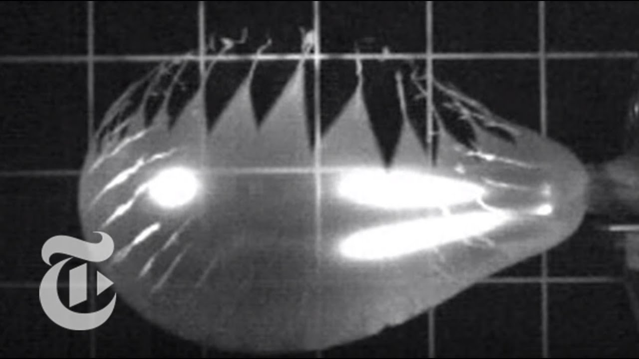 How Balloons Pop | ScienceTake | The New York Times